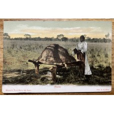 VIDA CAMPERA EL HORNO ANTIGUA TARJETA POSTAL